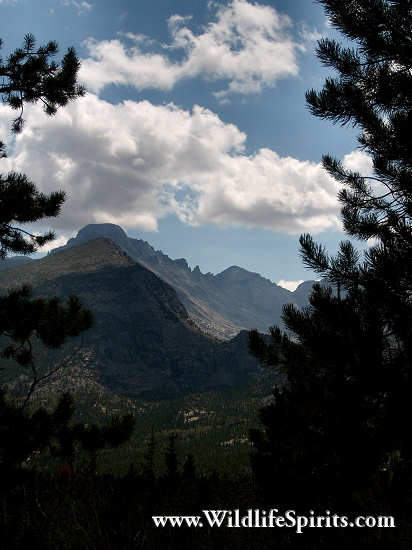 Click Picture to send as an  E-PostCard 66k 412x550